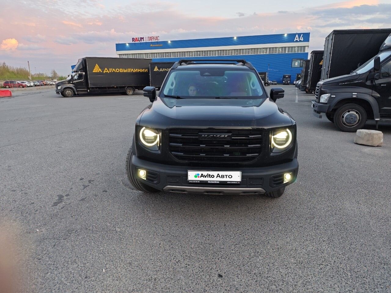 HAVAL Dargo: фото владельца