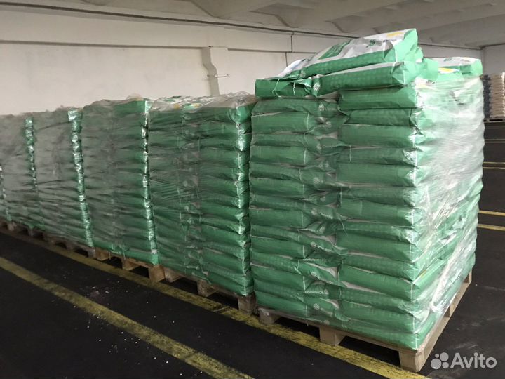 Семена подсолнечника, кукурузы (Сингента) и сзр