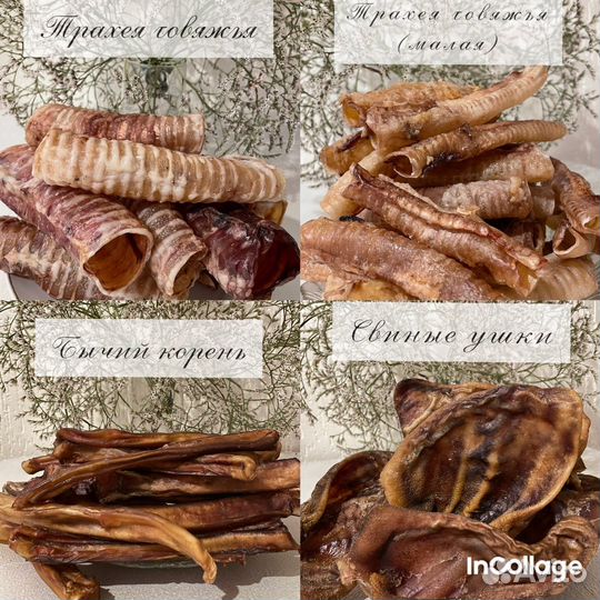 Лакомства для собак