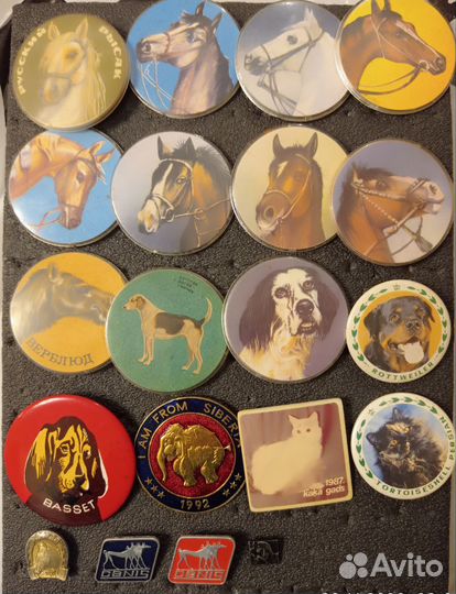 Знаки и значки СССР животные, зоопарк, заповедник