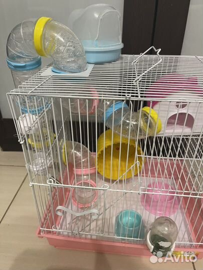 Хомяк с клеткой