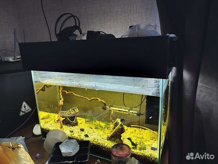 Аквариум с рыбками