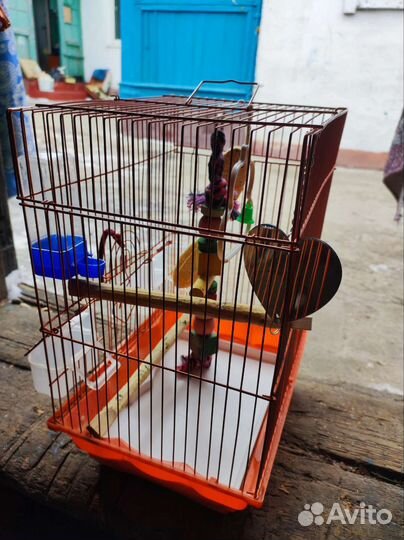 Клетка для попугая