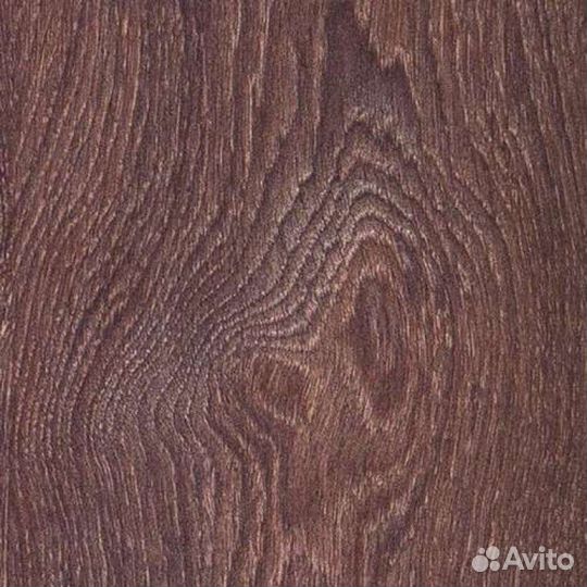 8262 Дуб Барди 33 класс