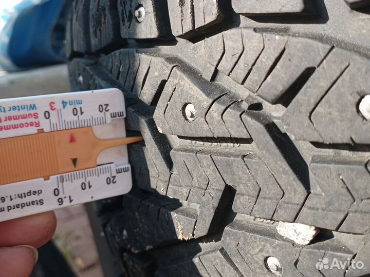 Kormoran Stud 2 4/6 R6 20B