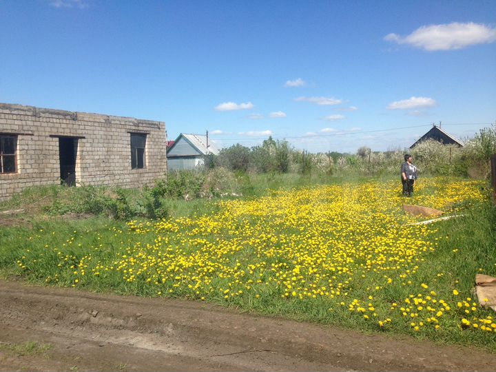 Участок 8 сот. (СНТ, ДНП)