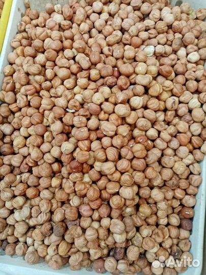 Грецкий орех в скорлупе