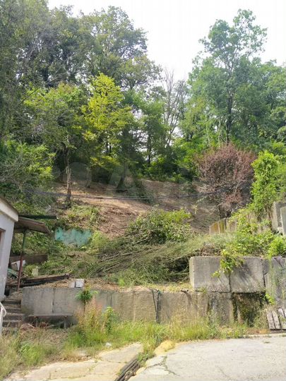 Участок 6 сот. (СНТ, ДНП)