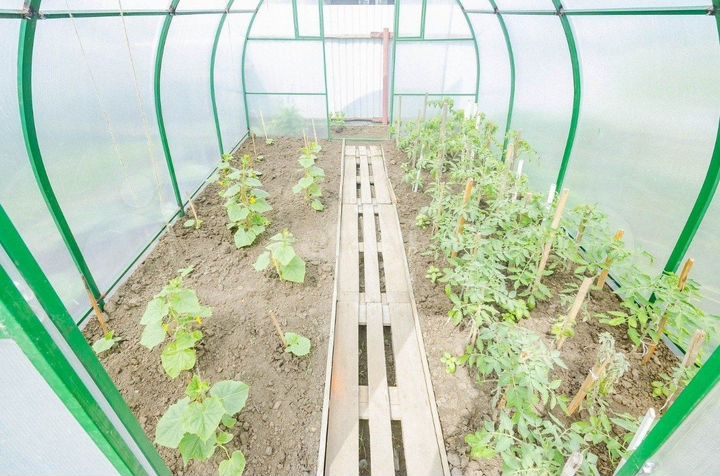 Дом 90 м² на участке 5,2 сот.