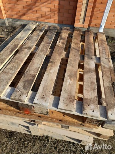 Поддоны 20 шт