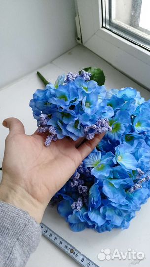 Декоративная гортензия