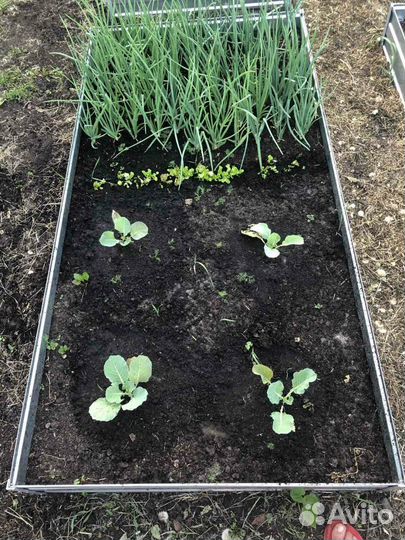 Грядки оцинкованные 2*1