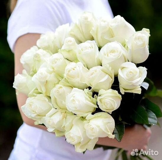 Розы Букеты Цветы Розы 31 101 151 201 Доставка