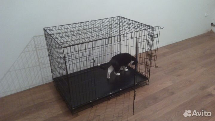 Клетка для животных