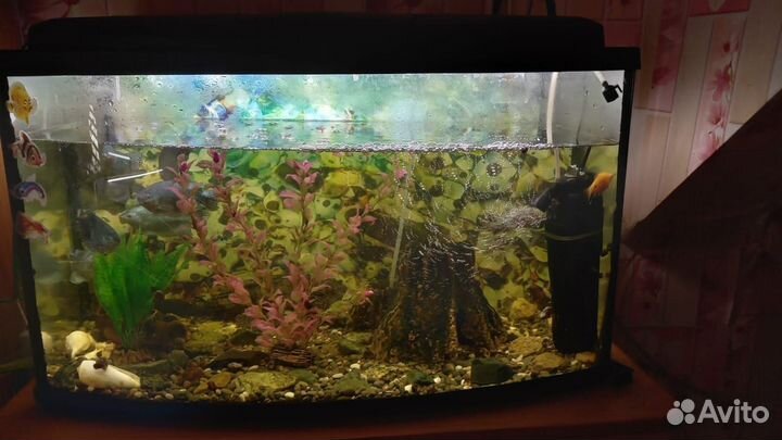 Украшения для аквариума