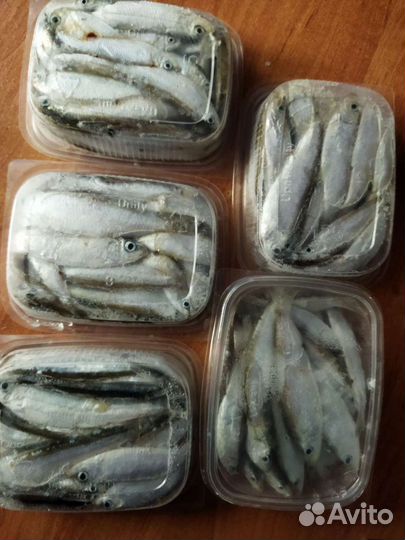 Тюлька свежая