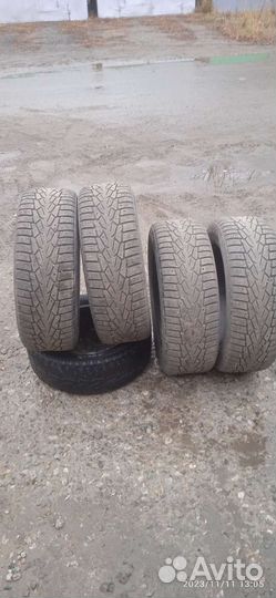 Nordman 7 205/65 R16