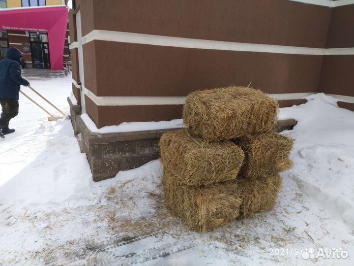 Солома в тюках