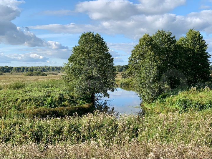 Участок 22 га (СНТ, ДНП)