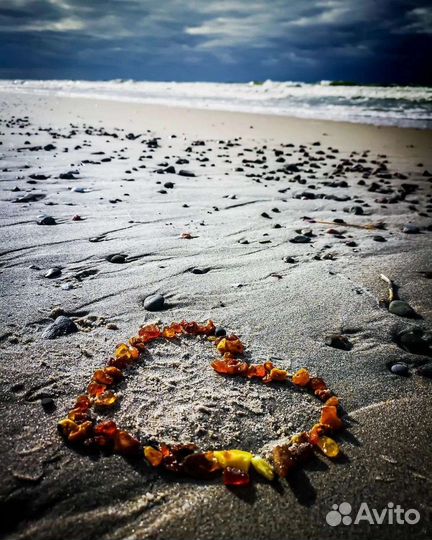 Экскурсии и трансфер по Калининградской области