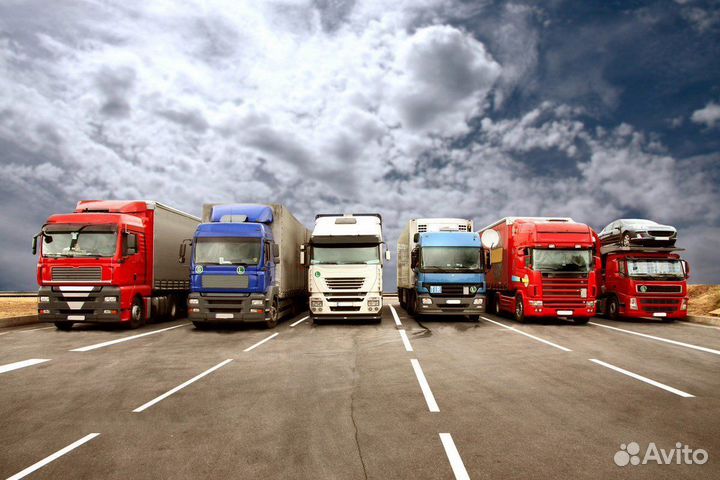 Покупка и доставка из Европы, Баер, Международные