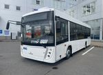 Городской автобус МАЗ 206047, 2023