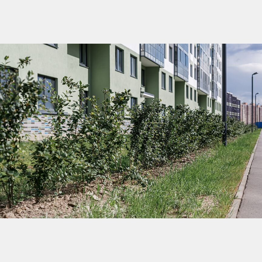 2-к. квартира, 57,1 м², 10/15 эт.