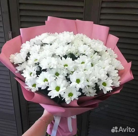 Букет Цветы Хризантемы