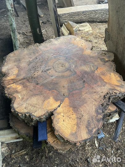 Слэб ясеня круглый большой