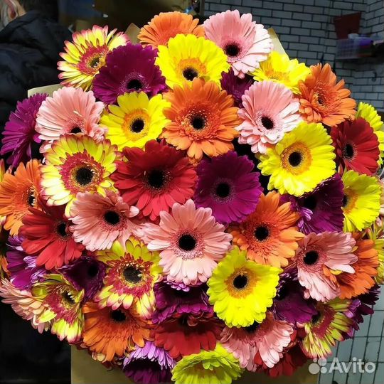 Герберы с бесплатной доставкой