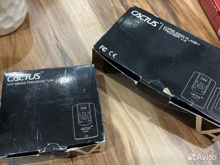 Cactus радиосинхронизатор