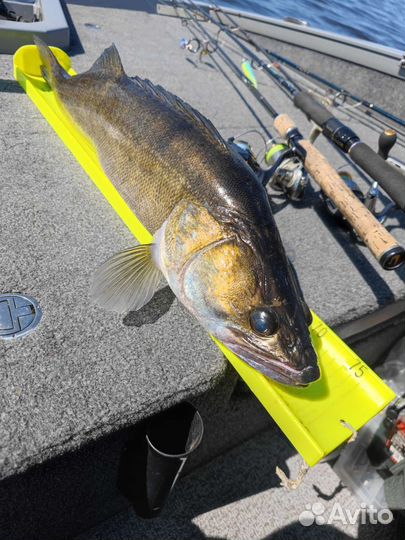 Рыбалка на Иваньковском водохранилище с лодки