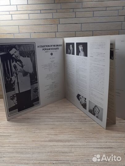 Виниловая пластинка