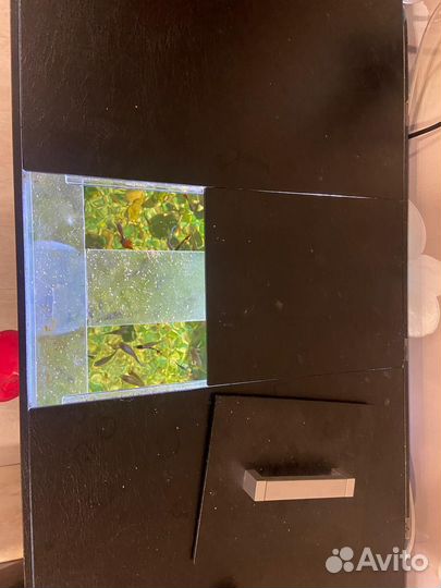 Аквариум с тумбой и рыбками