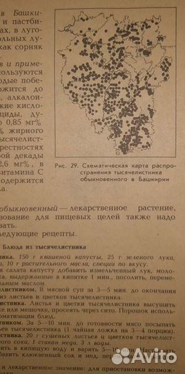Дикорастущие пищевые растения и их использование