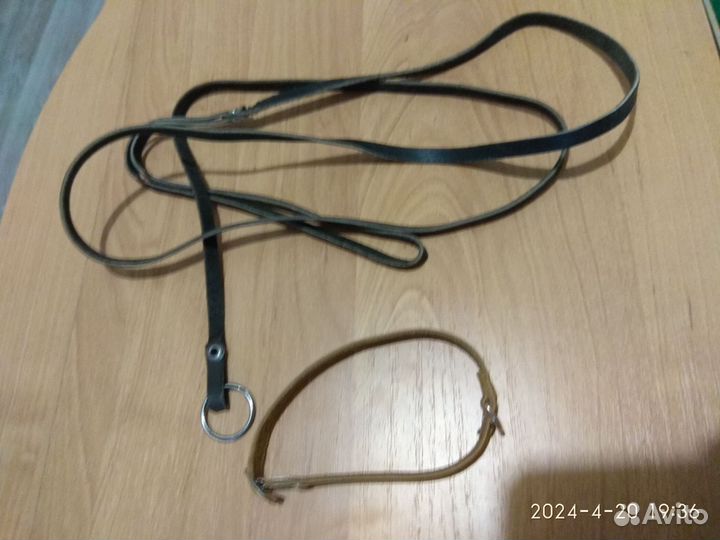 Шлейка. Поводок, ошейник, когтерезка, миски