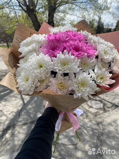 Хризантема кустовая букет доставка бесплатно