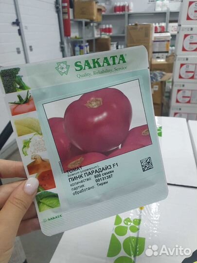 Семена томат Пинк Парадайз 500с Саката
