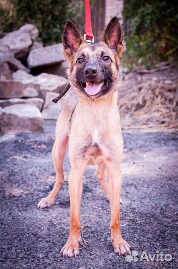 Очень нужен дом