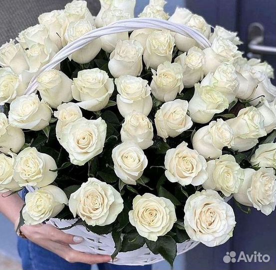 Высокие розы Гигантские розы Доставка цветов