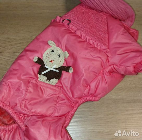 Одежда для собак