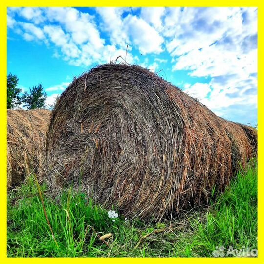 Сено в рулонах