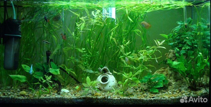 Обслуживание аквариумов