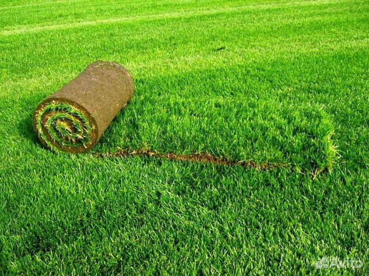 Теневой рулонный газон, доставка газона