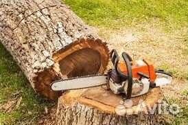 Спил деревьев