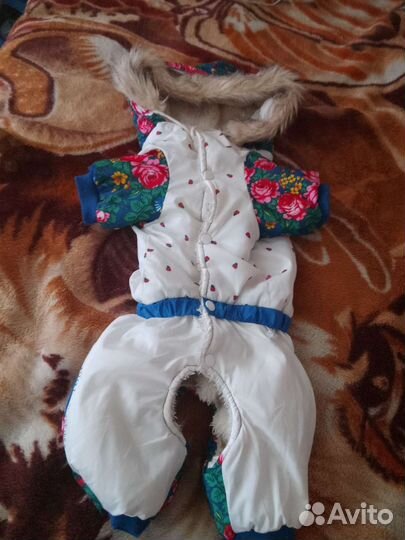 Комбенизон для собак