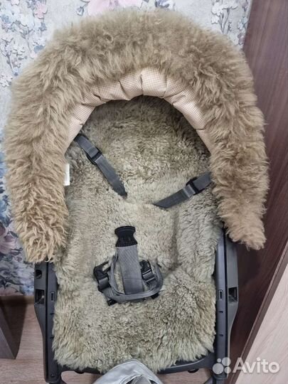 Stokke зимний кит