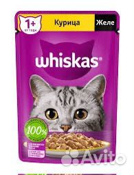 Корм для кошек