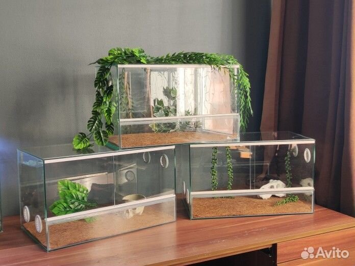 Террариум горизонтальный для эублефара или змеи