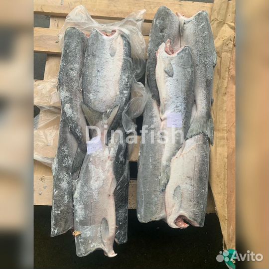 Кета Горбуша Кижуч Семга в наличии
